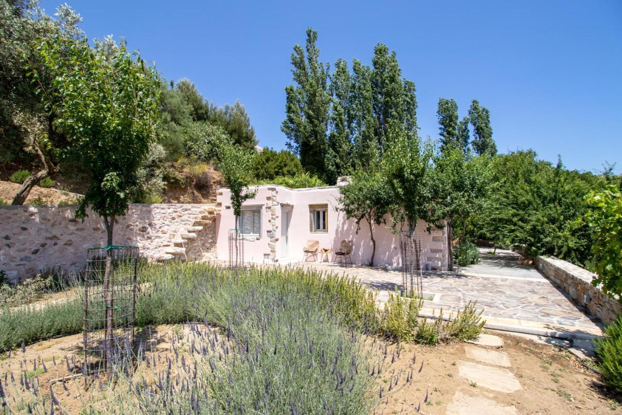 Serenity Village Aperathos Экстерьер фото