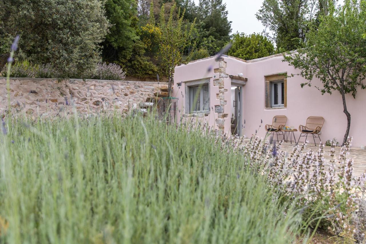 Serenity Village Aperathos Экстерьер фото